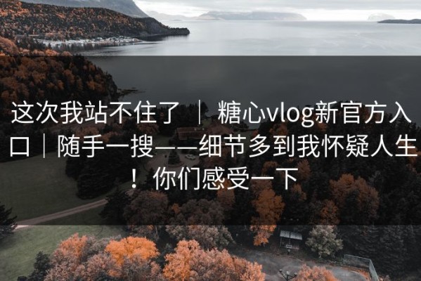 这次我站不住了 ｜ 糖心vlog新官方入口｜随手一搜——细节多到我怀疑人生！你们感受一下
